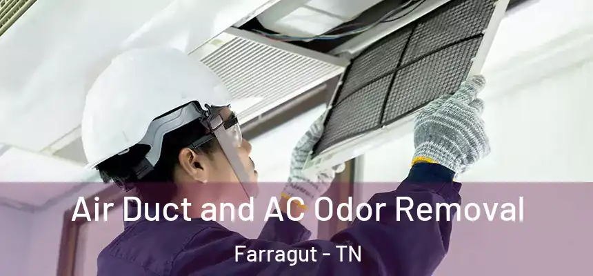 Air Duct and AC Odor Removal Farragut - TN
