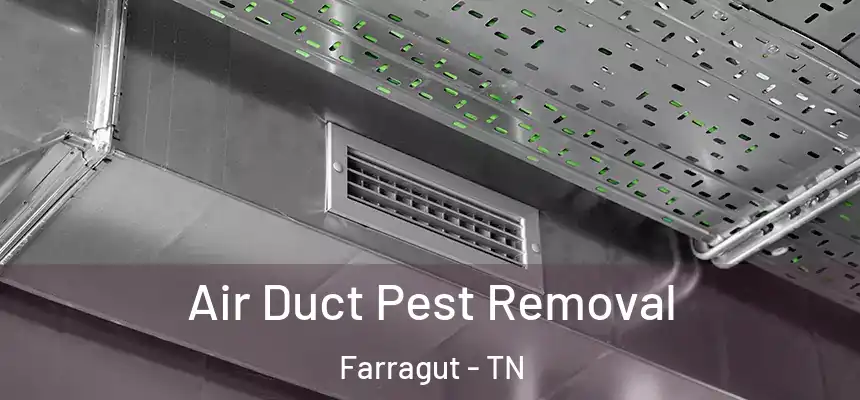 Air Duct Pest Removal Farragut - TN