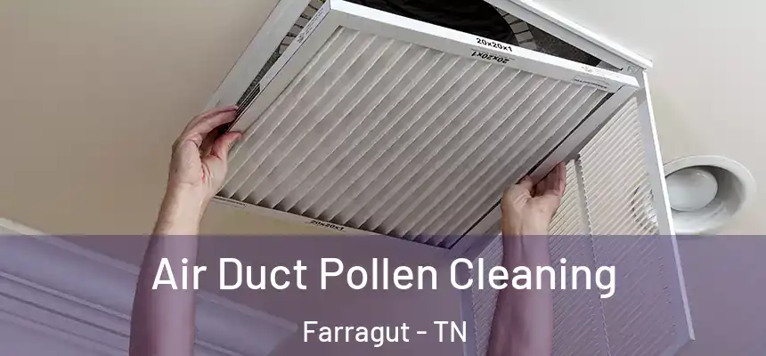 Air Duct Pollen Cleaning Farragut - TN