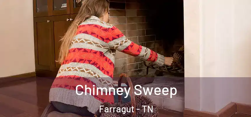 Chimney Sweep Farragut - TN