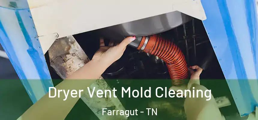 Dryer Vent Mold Cleaning Farragut - TN