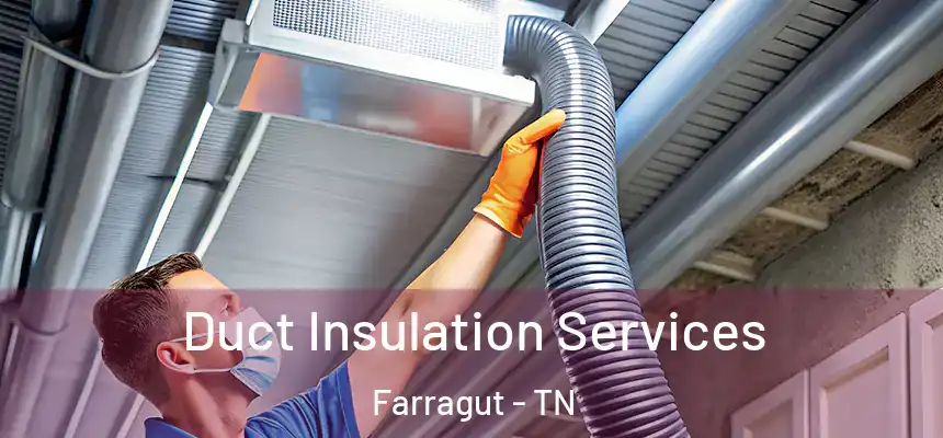 Duct Insulation Services Farragut - TN