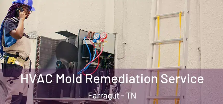 HVAC Mold Remediation Service Farragut - TN
