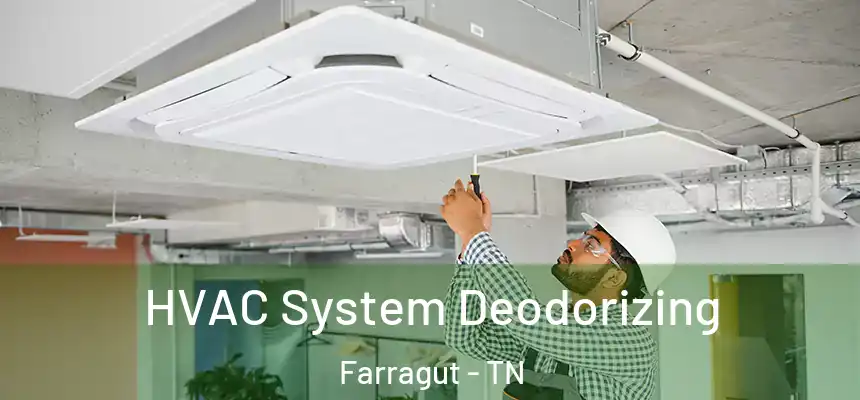  HVAC System Deodorizing Farragut - TN