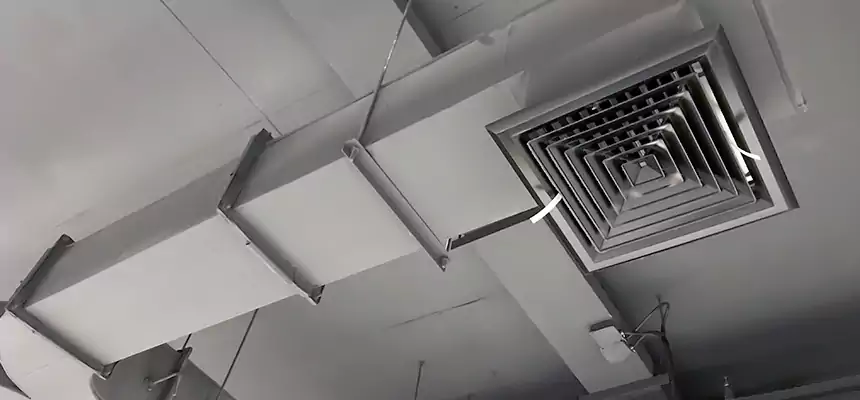 Restorative Allergy Relief Vent Cleaning – Coil, Blower & Housing Detail in Farragut