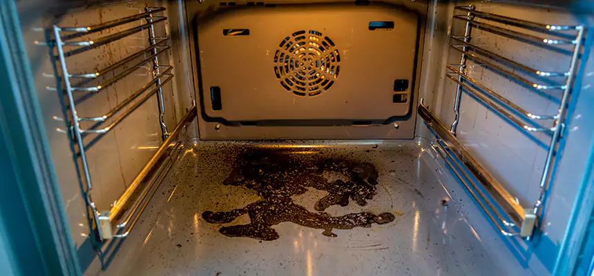 Our Dryer Vent Mold Cleaning Services in Farragut, TN