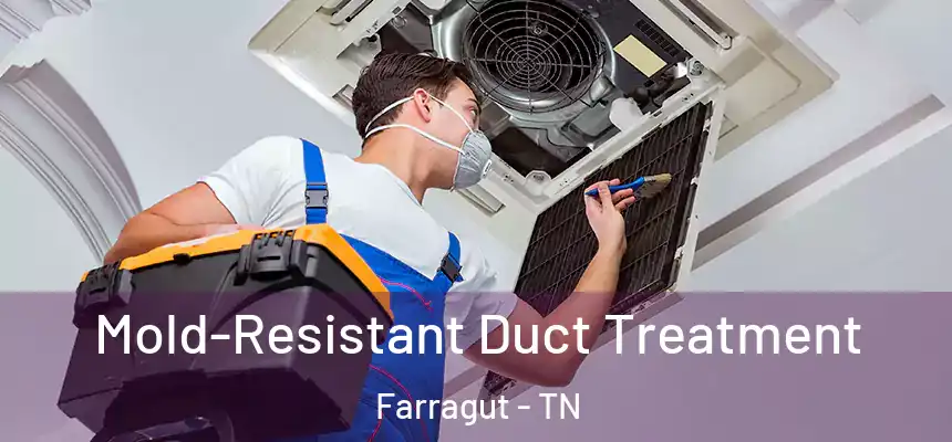  Mold-Resistant Duct Treatment Farragut - TN