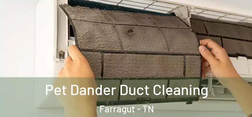 Pet Dander Duct Cleaning Farragut - TN