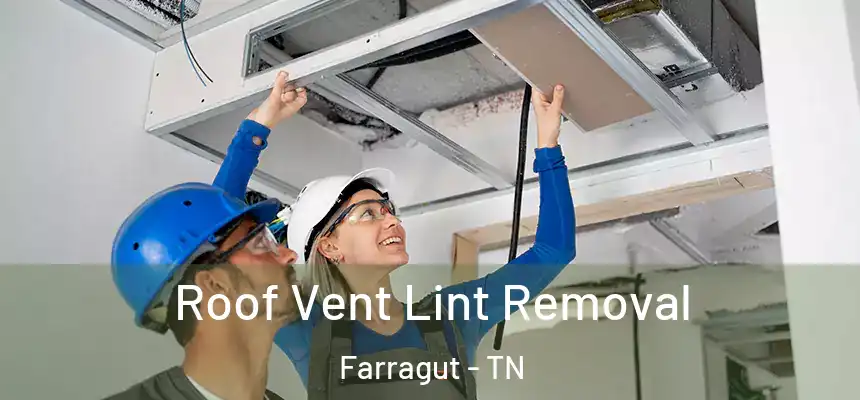 Roof Vent Lint Removal Farragut - TN