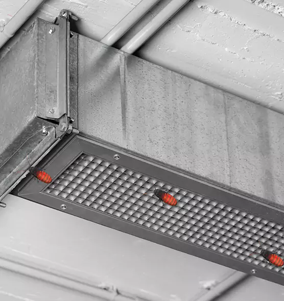About Air Duct Cockroach Removal in Farragut, TN
