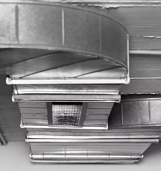 Professional Air Duct Pet Hair Removal in Farragut, TN