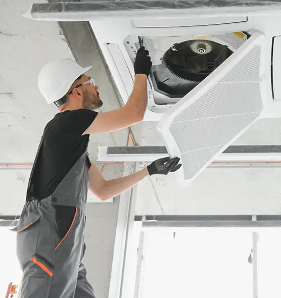 About Air Duct Rodent Removal in Farragut, TN