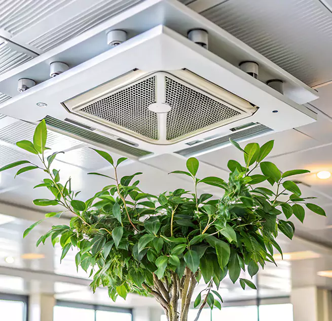 Why Homeowners & Businesses Trust Us in Farragut, TN