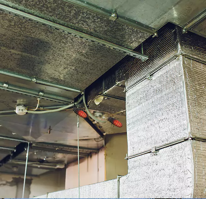 Why Homeowners & Businesses Trust Us Farragut, TN?